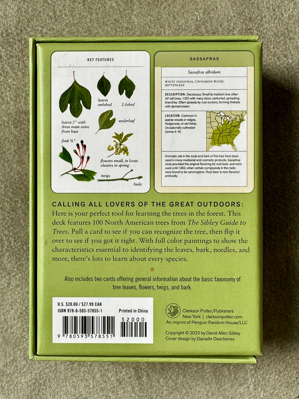 Sibley "Tree Identification" Flash Cards