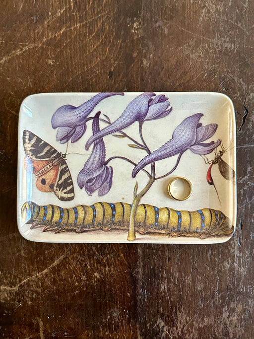 "Botanist Caterpillar" Valet Tray by Siren Song