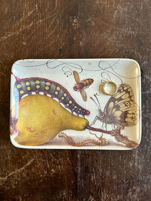 "Botanist Pear" Valet Tray by Siren Song