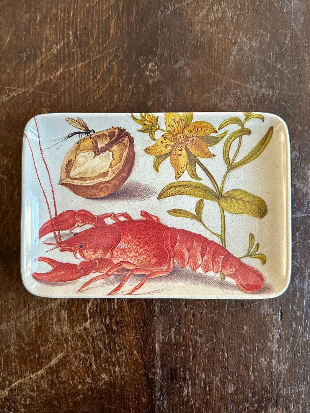 "Botanist Lobster" Valet Tray by Siren Song