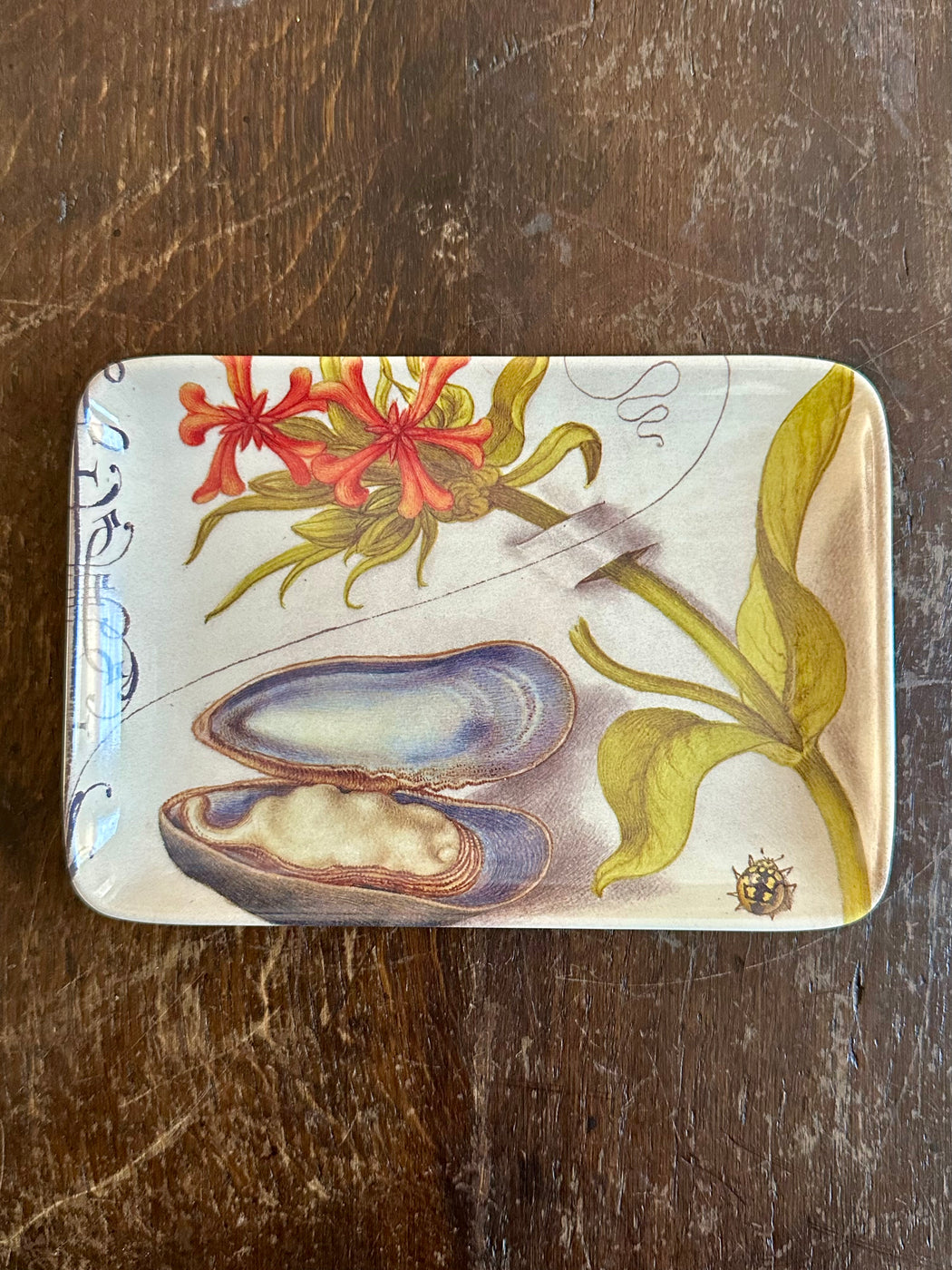 "Botanist Oyster" Valet Tray by Siren Song