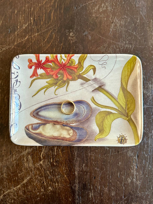 "Botanist Oyster" Valet Tray by Siren Song