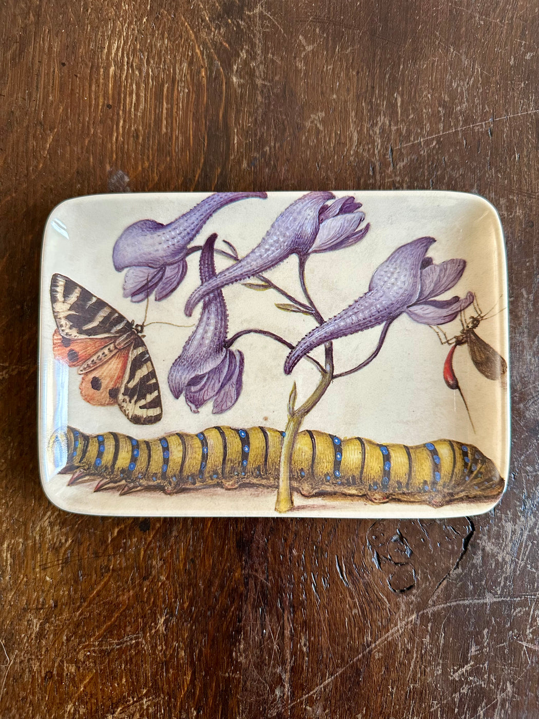 "Botanist Caterpillar" Valet Tray by Siren Song