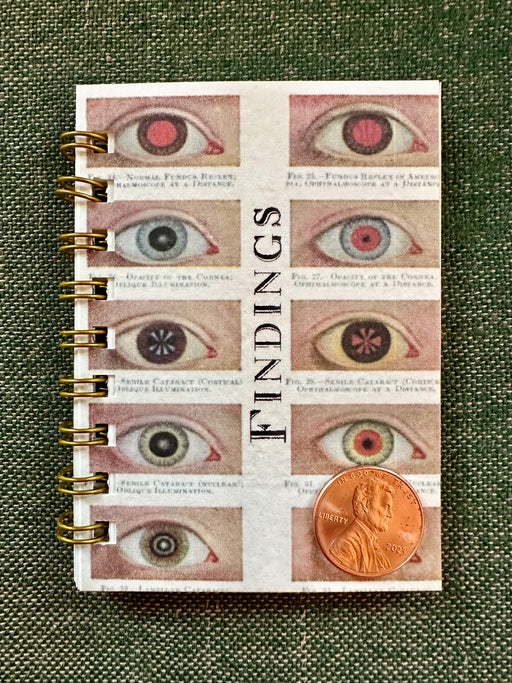 "Findings" Itty Bitty Notebook