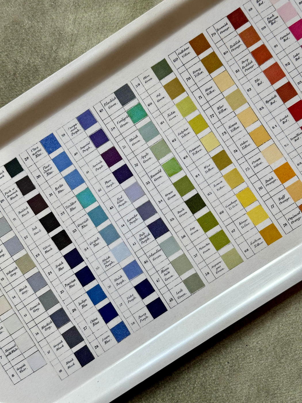 "Watercolour Swatches" Birchwood Tray