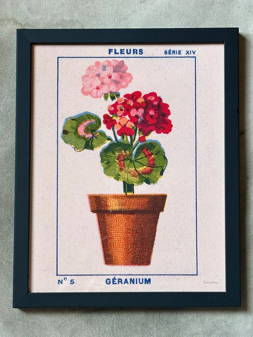 "Geranium" Framed Art Print
