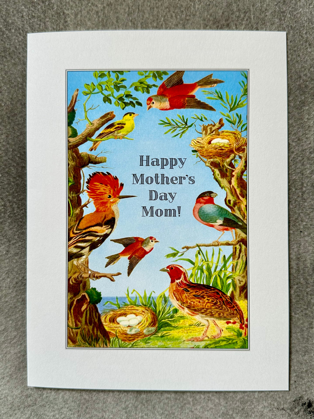 "Bird's Nest" Mother's Day Card