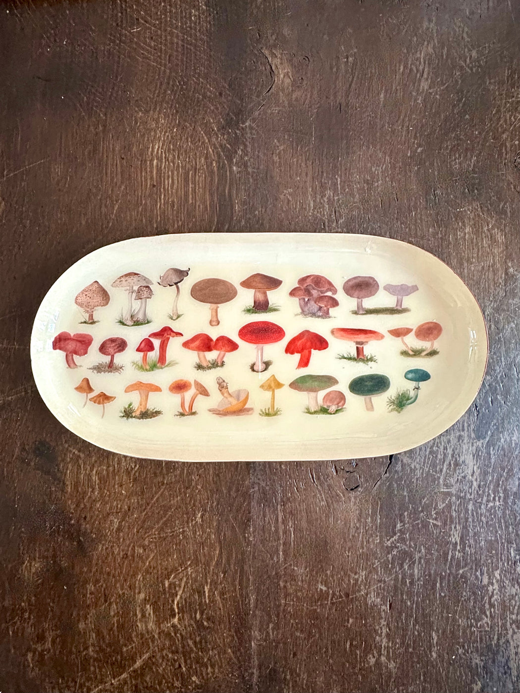 "Fungi" Enameled Trinket Dish