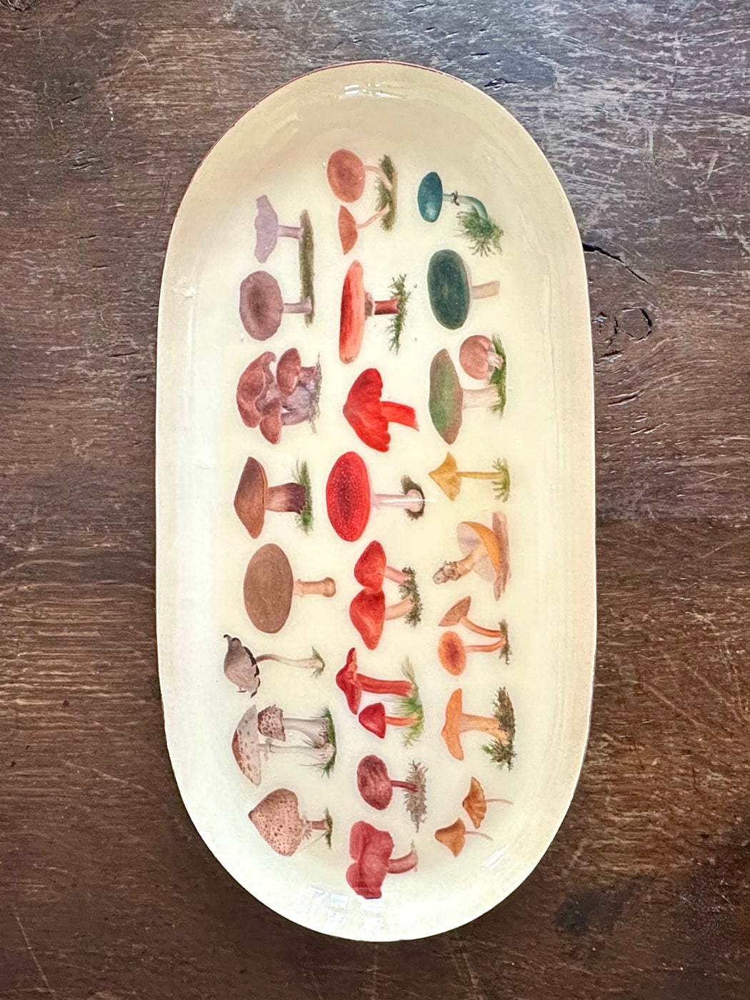 "Fungi" Enameled Trinket Dish