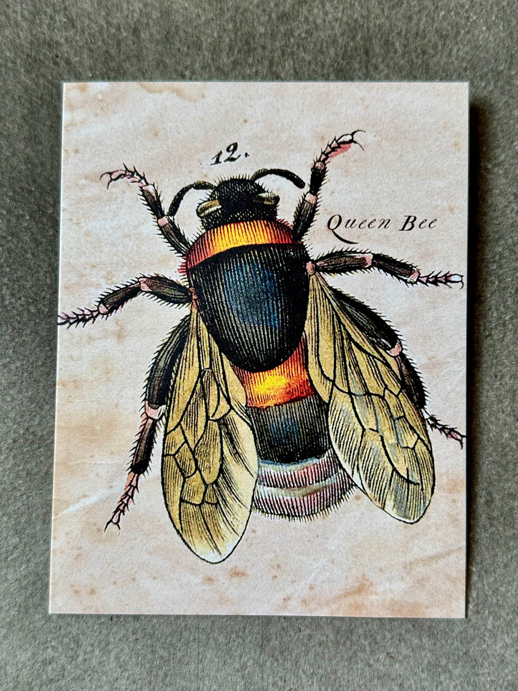 "Queen Bee" Card
