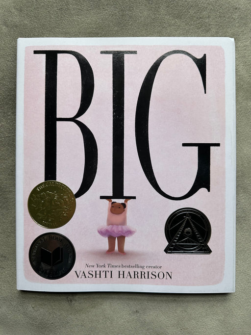 "Big" by Vashti Harrison
