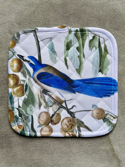 "Florida Blue Jay" Potholder