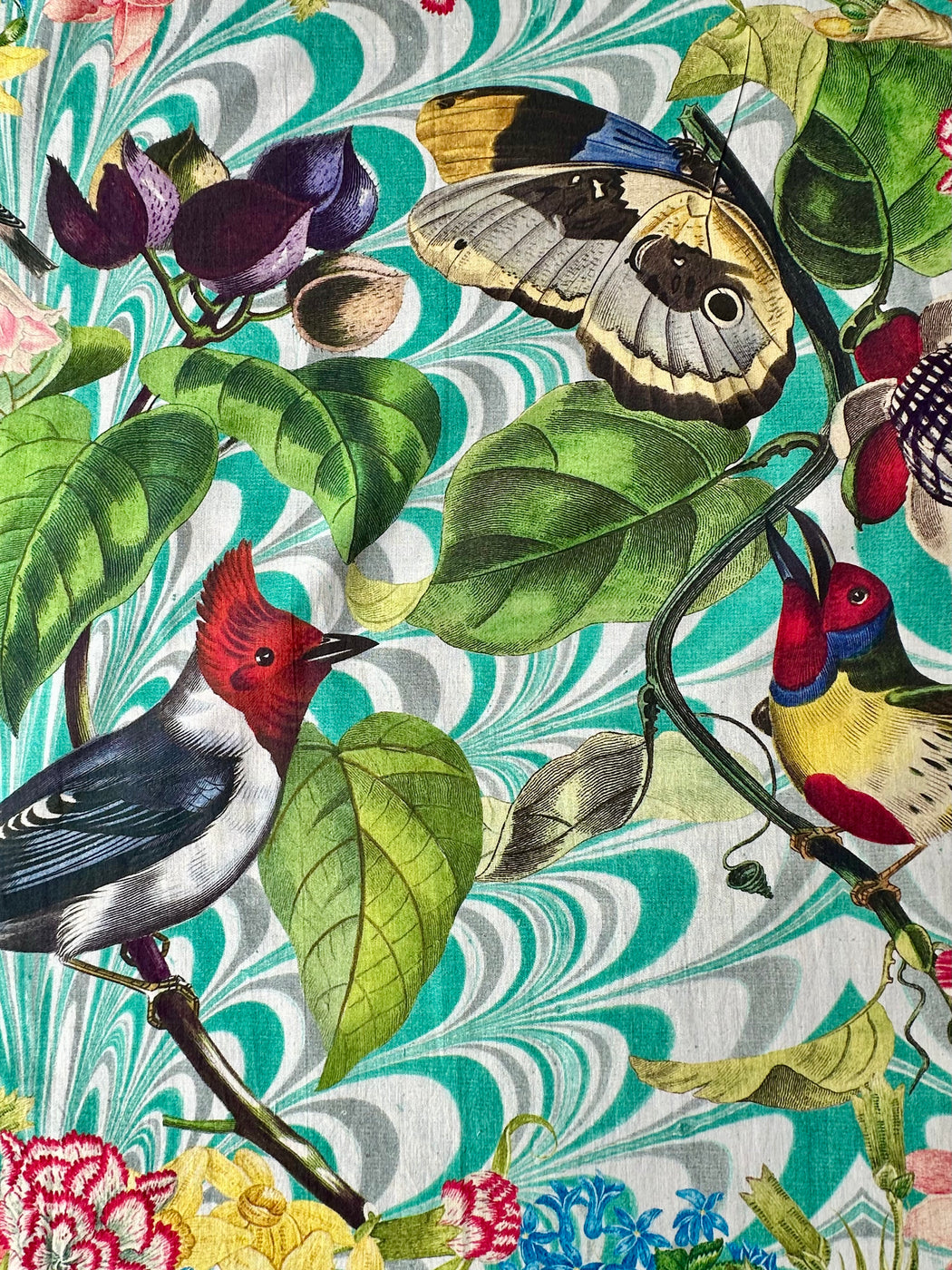 "Birds" Cotton Scarf by Thomas Paul