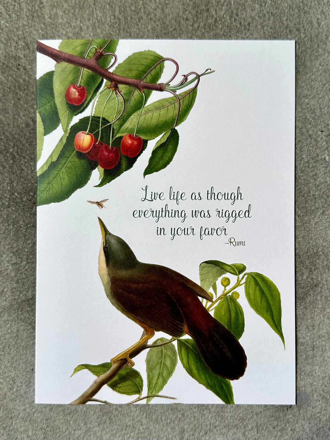 "Live Life" Card