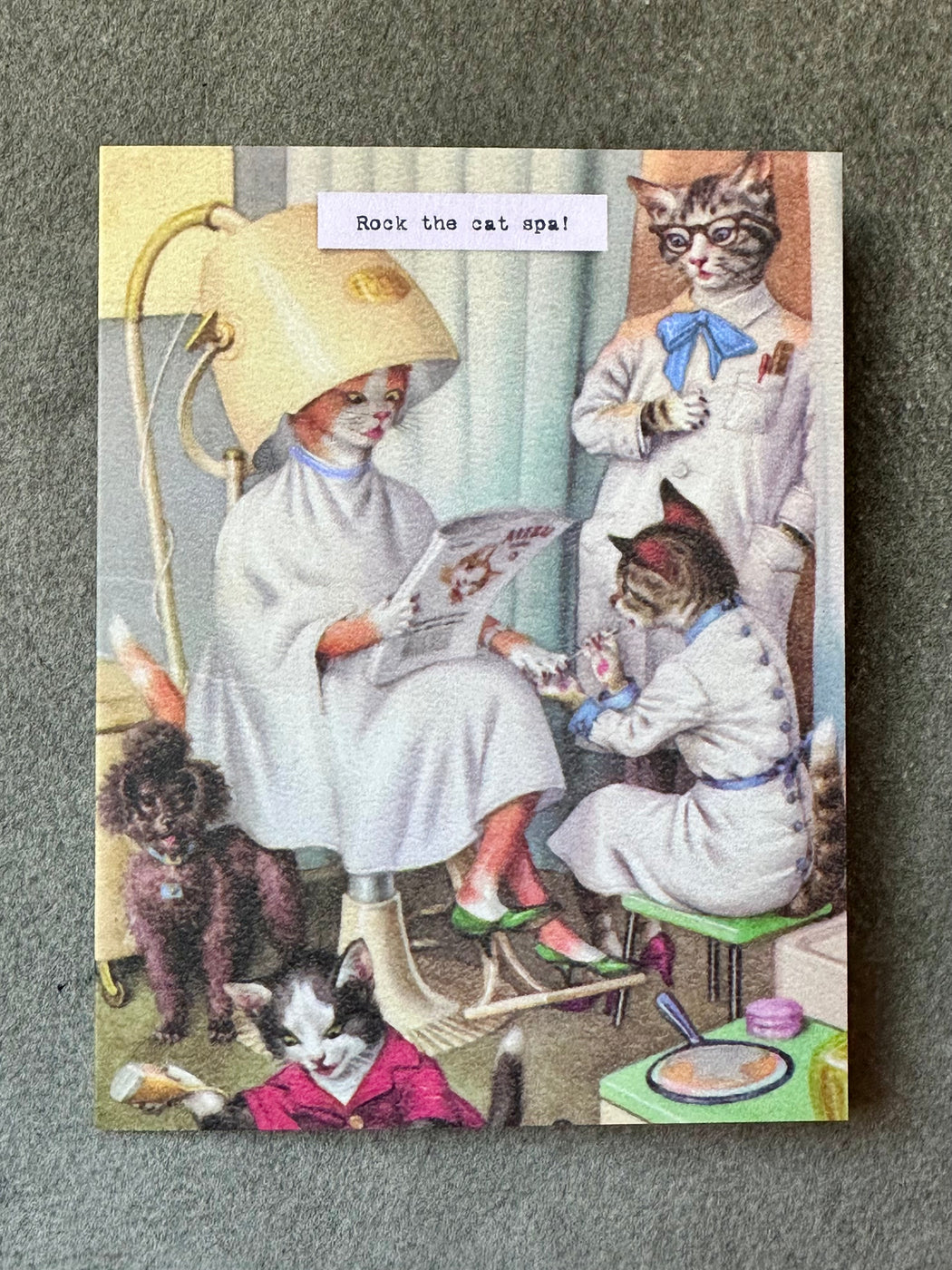 "Cat Spa" Card