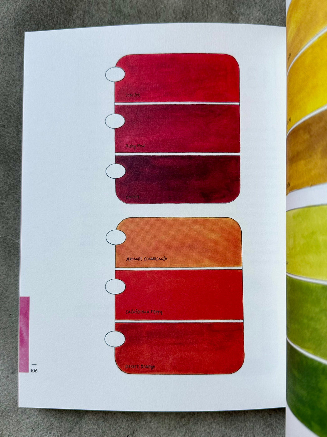 "A Field Guide to Color" by Lisa Solomon