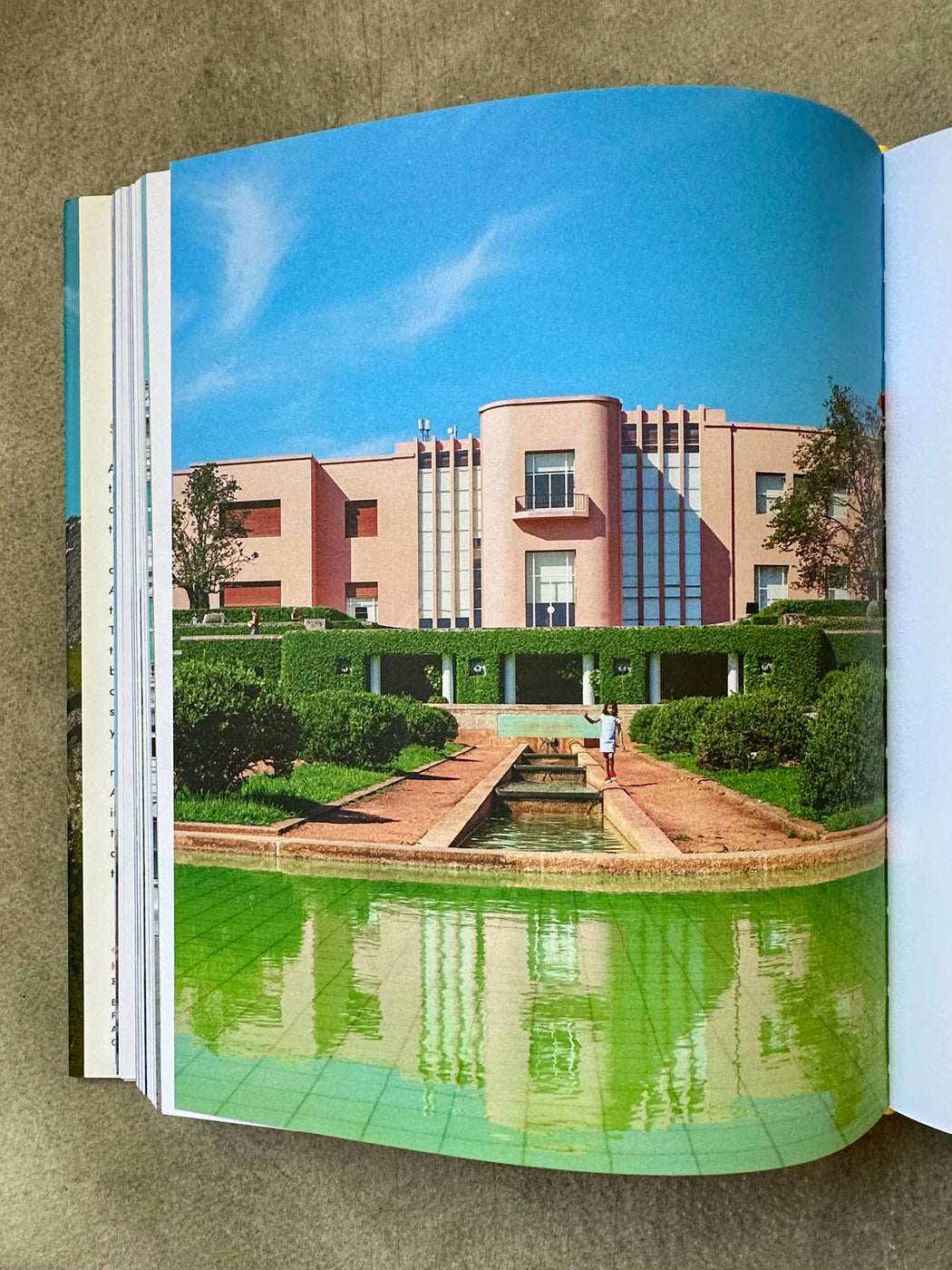 "Accidentally Wes Anderson" by Wally Koval