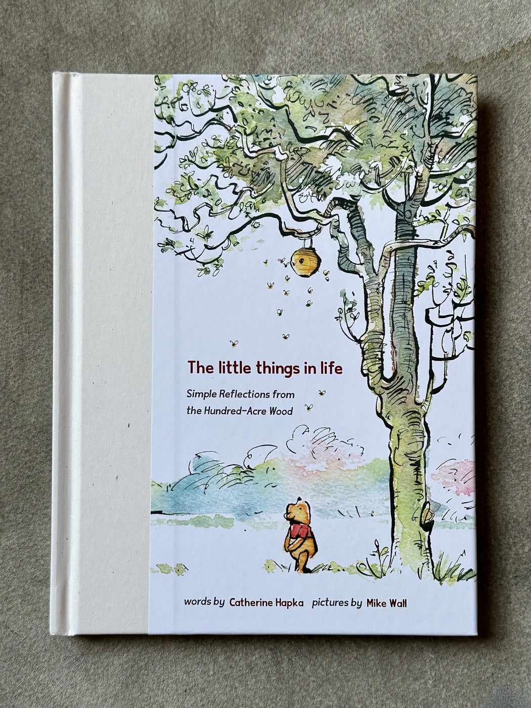 "The Little Things in Life" by Catherine Hapka and Mike Wall