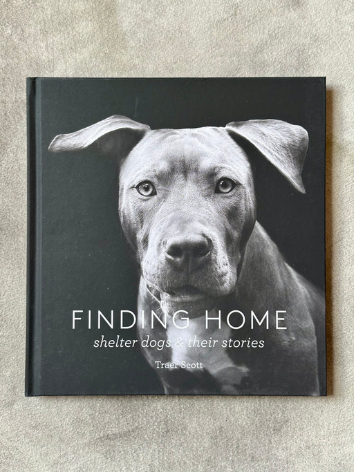 "Finding Home" by Traer Scott