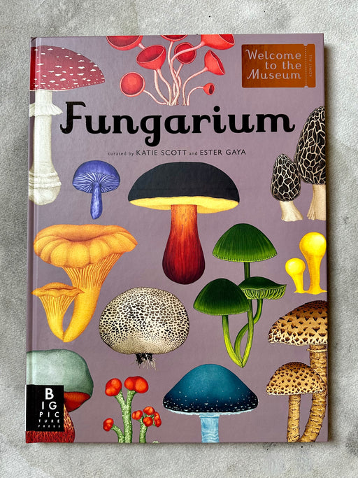 "Fungarium" by Katis Scott and Ester Gaya