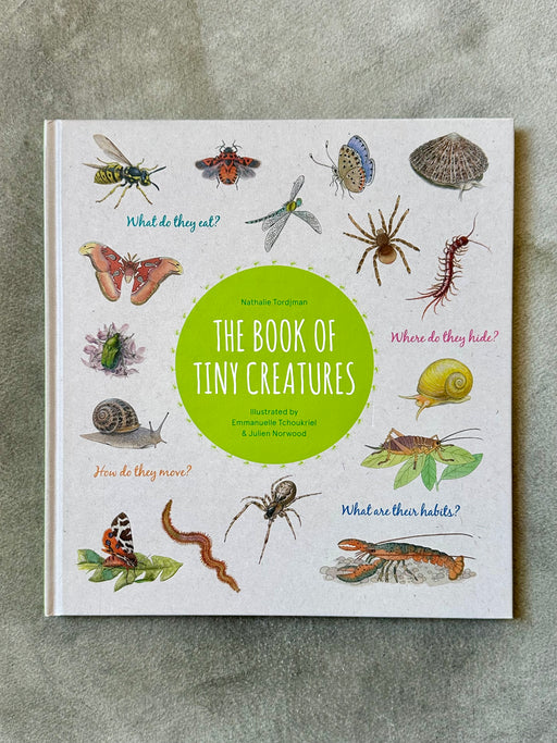 "The Book of Tiny Creatures" by Nathalie Tordjman