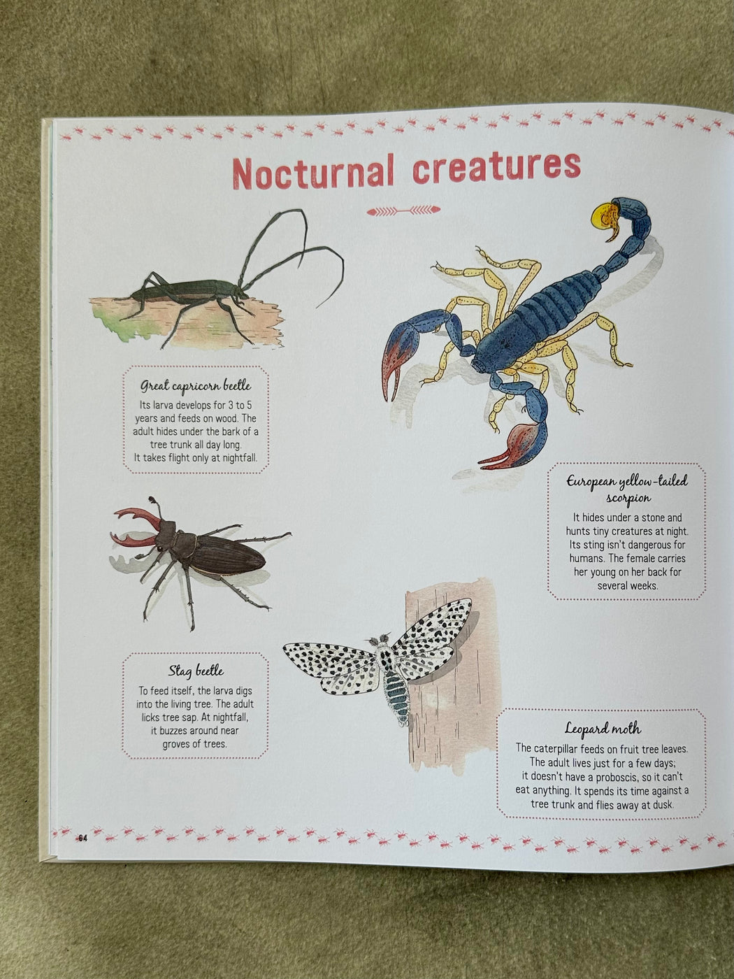 "The Book of Tiny Creatures" by Nathalie Tordjman