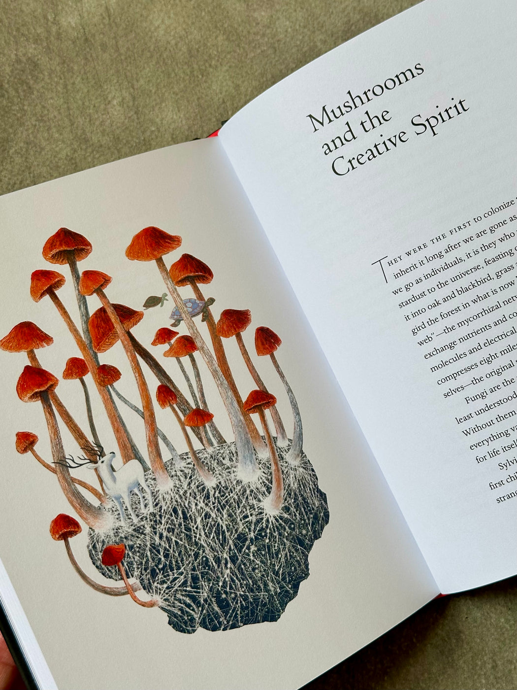 "The Universe in Verse" by Maria Pop[ova