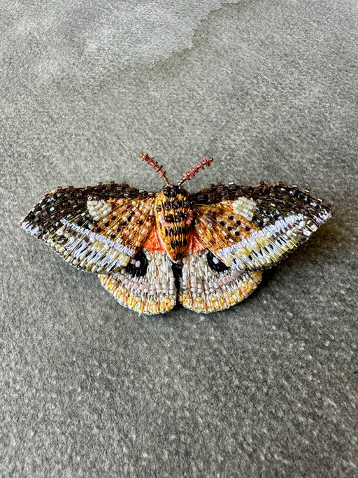 "Emperor Automaria Moth" Brooch by Trovelore