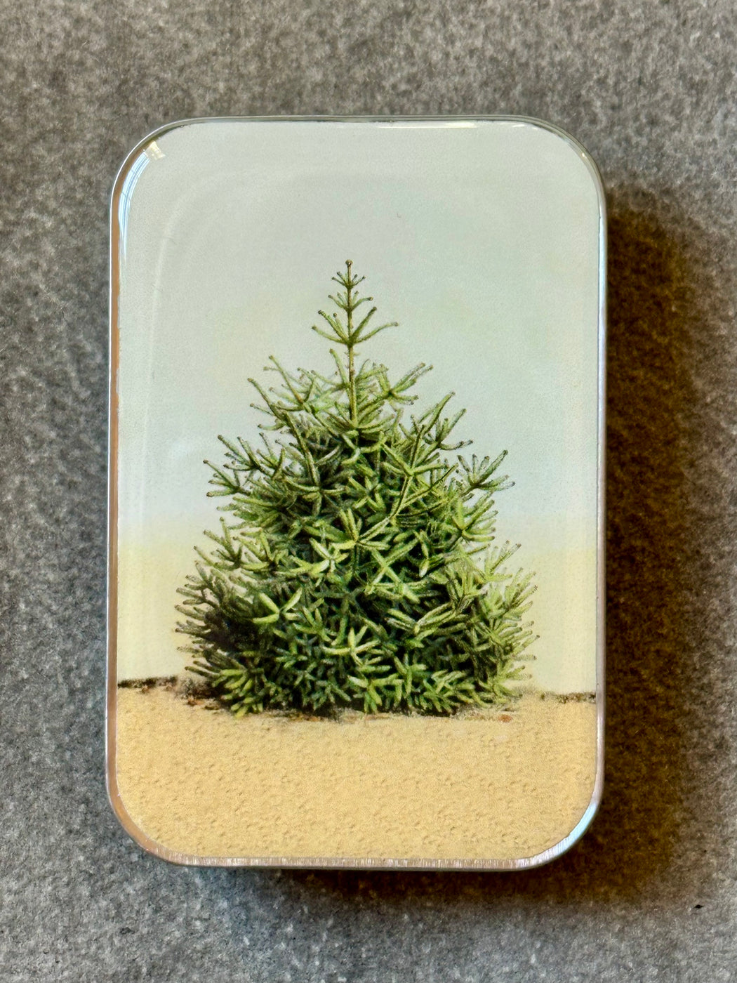 "Evergreen" Notions Tin