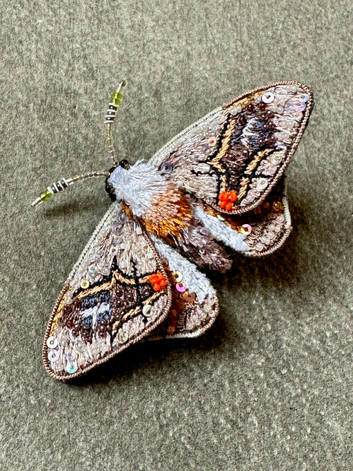 "Drepanid Moth" Brooch by Trovelore