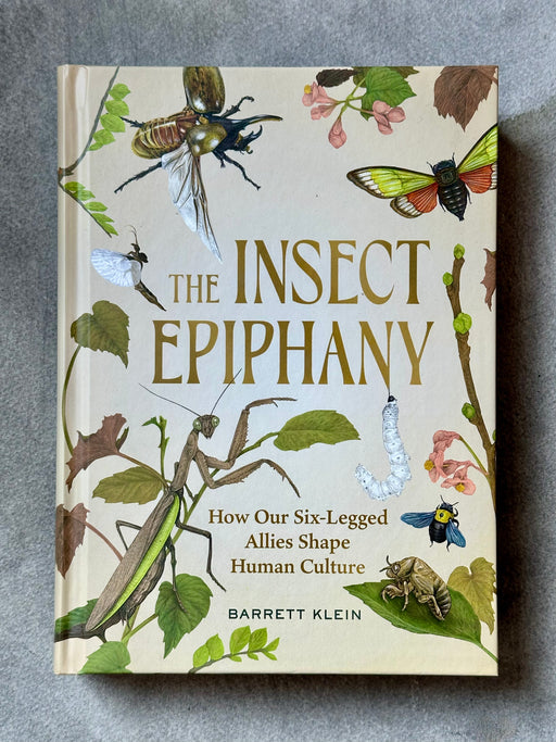 "The Insect Epiphany" by Barrett Klein