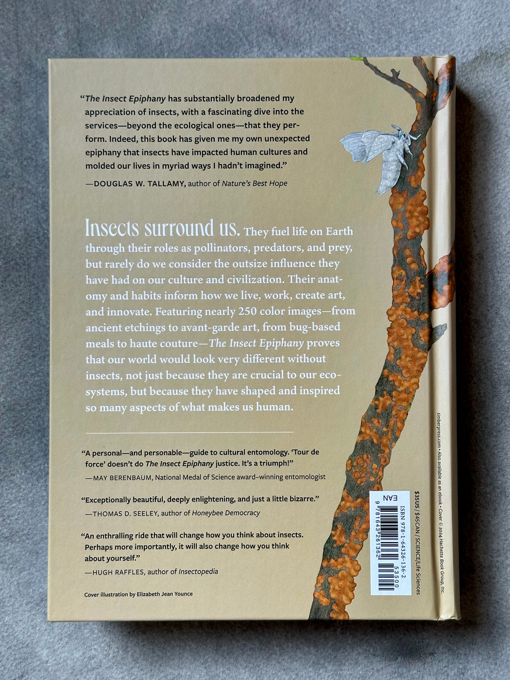 "The Insect Epiphany" by Barrett Klein