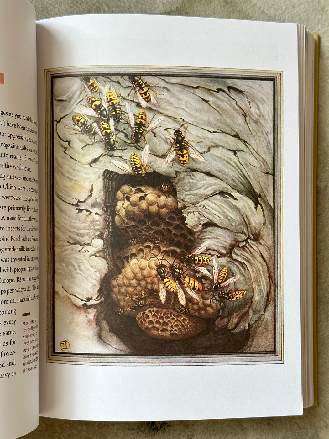 "The Insect Epiphany" by Barrett Klein