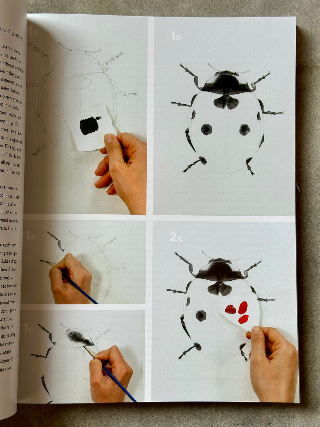 "The Insect Artist" by Zebith S. Thalden