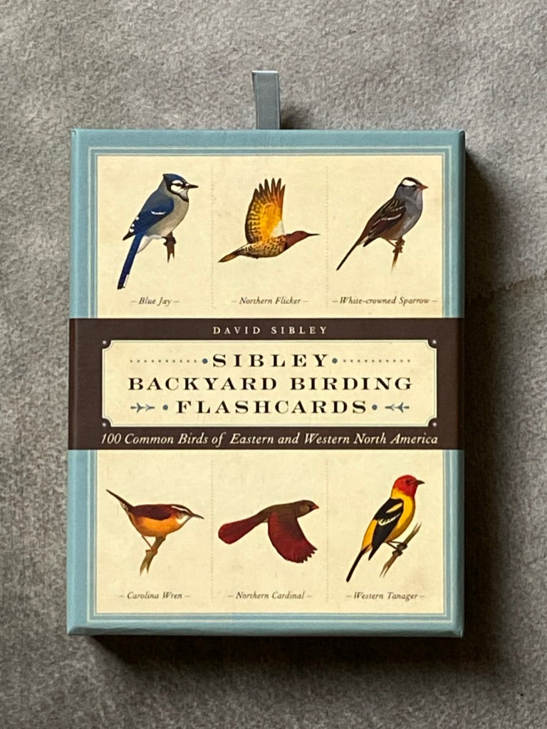 Sibley's "Backyard Birding" Flashcards
