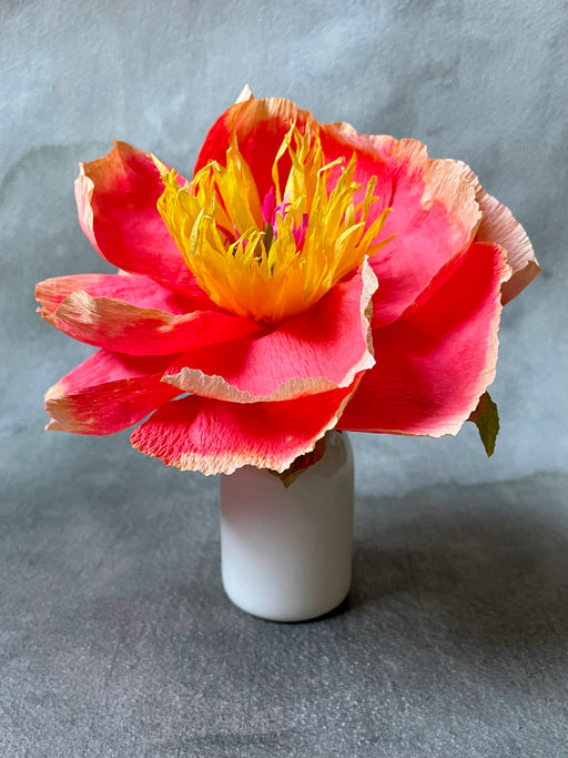 Paper Peony in Vase - Coral