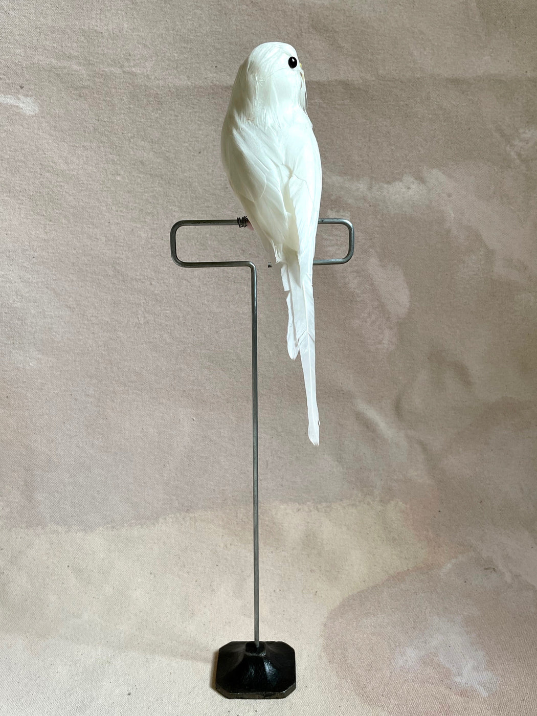 White Feather Budgie with Stand