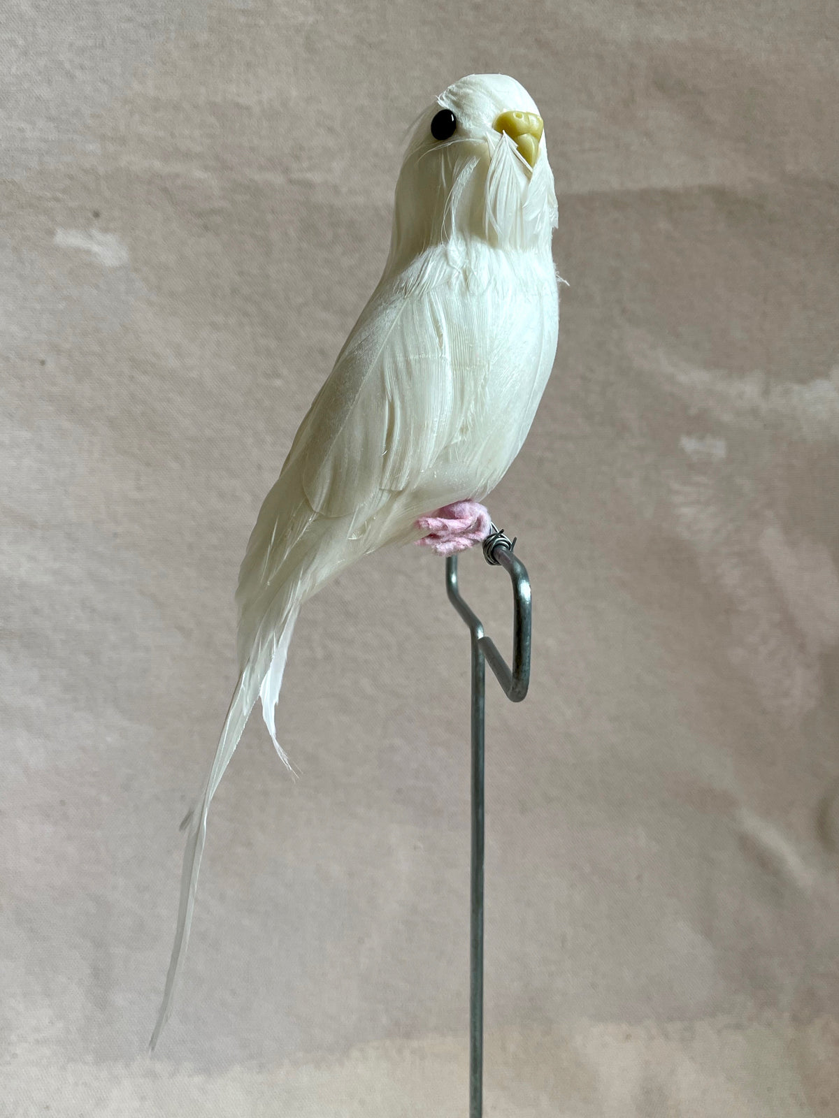 Pink Feather Budgie with Stand — Pittsburgh Mercantile
