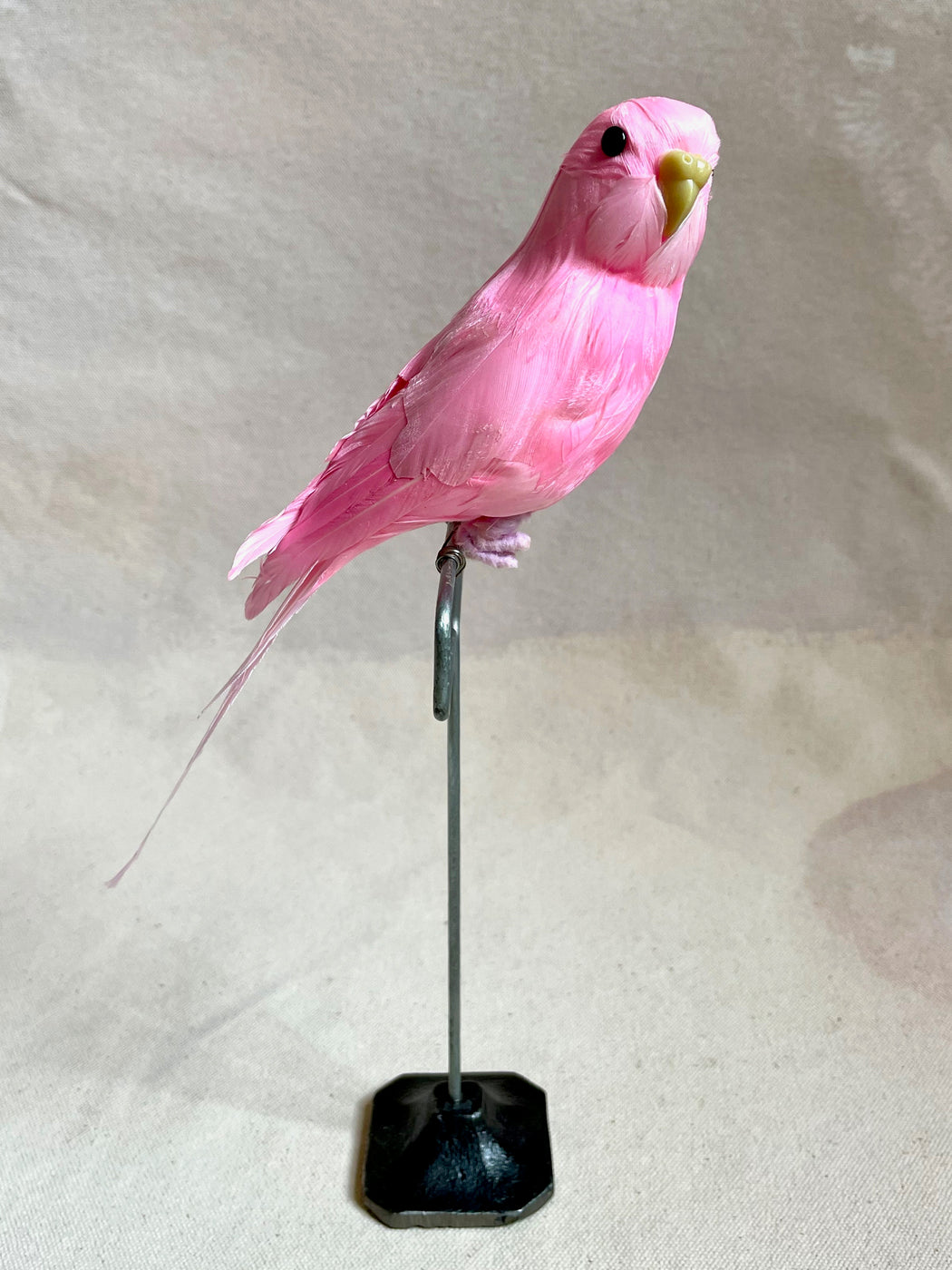 Pink Feather Budgie with Stand — Pittsburgh Mercantile