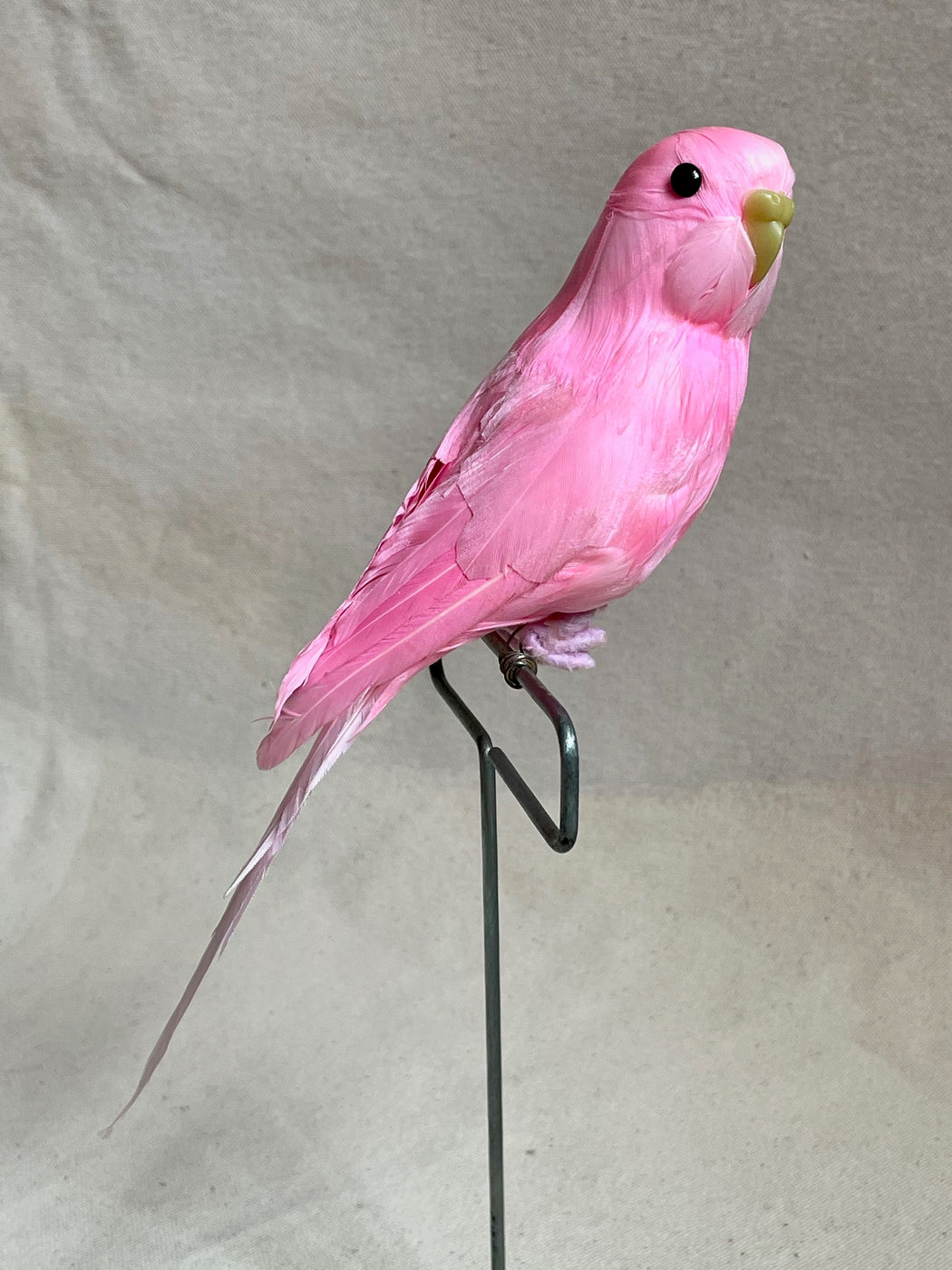 Pink Feather Budgie with Stand