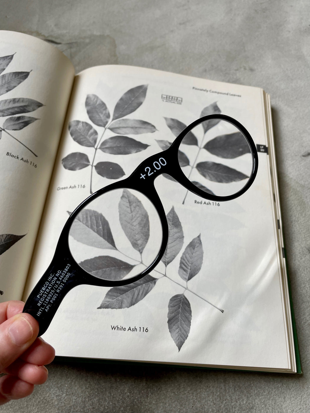 "Pince Nez" Magnifying Glass