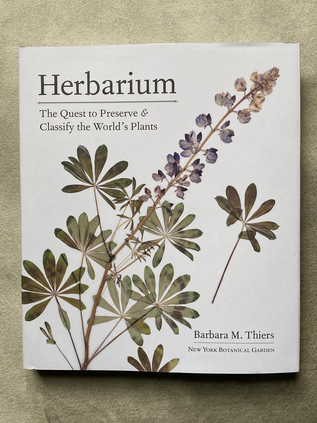 "Herbarium" by Barbara M. Thiers