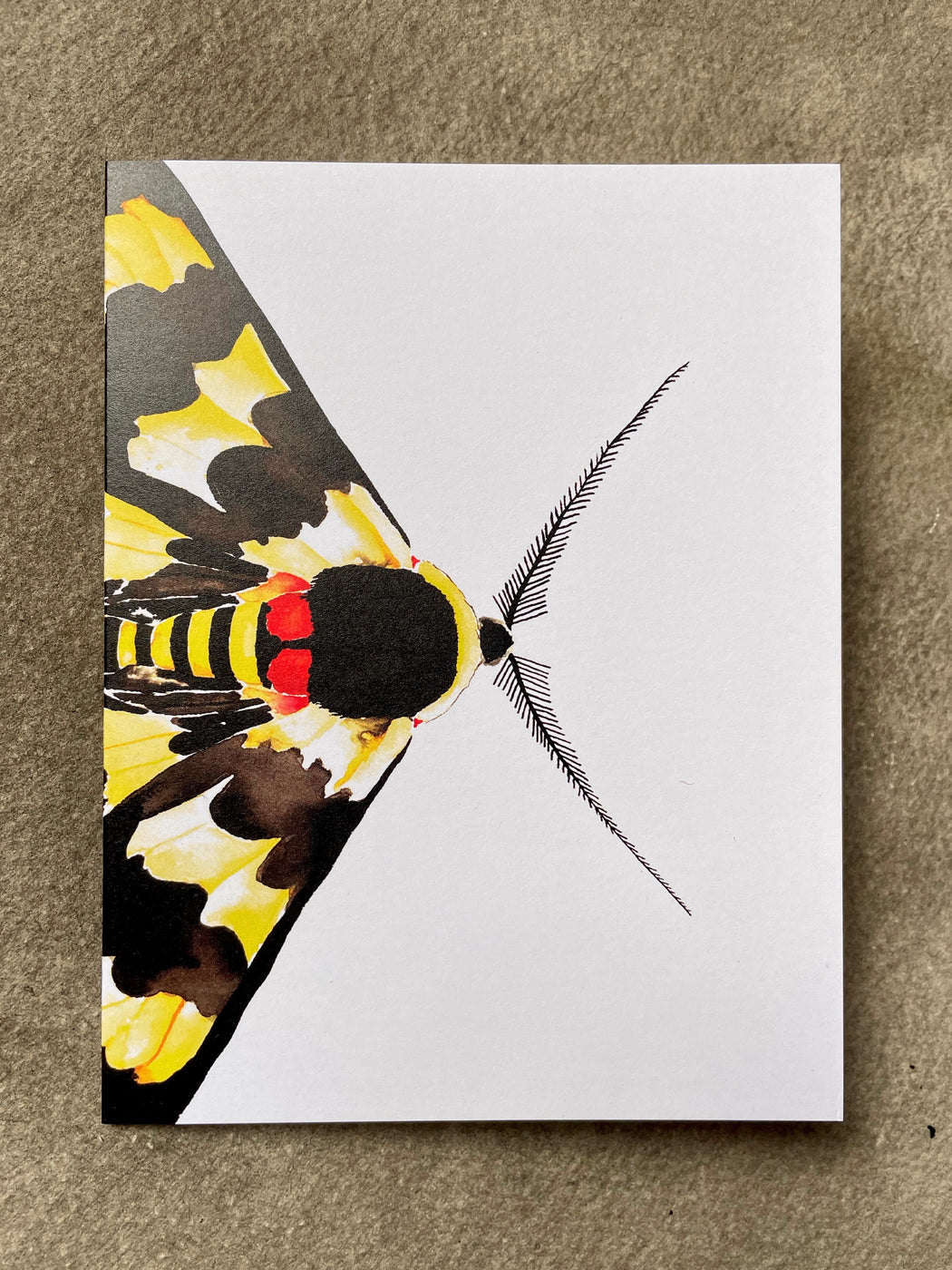 Moth Greeting Card