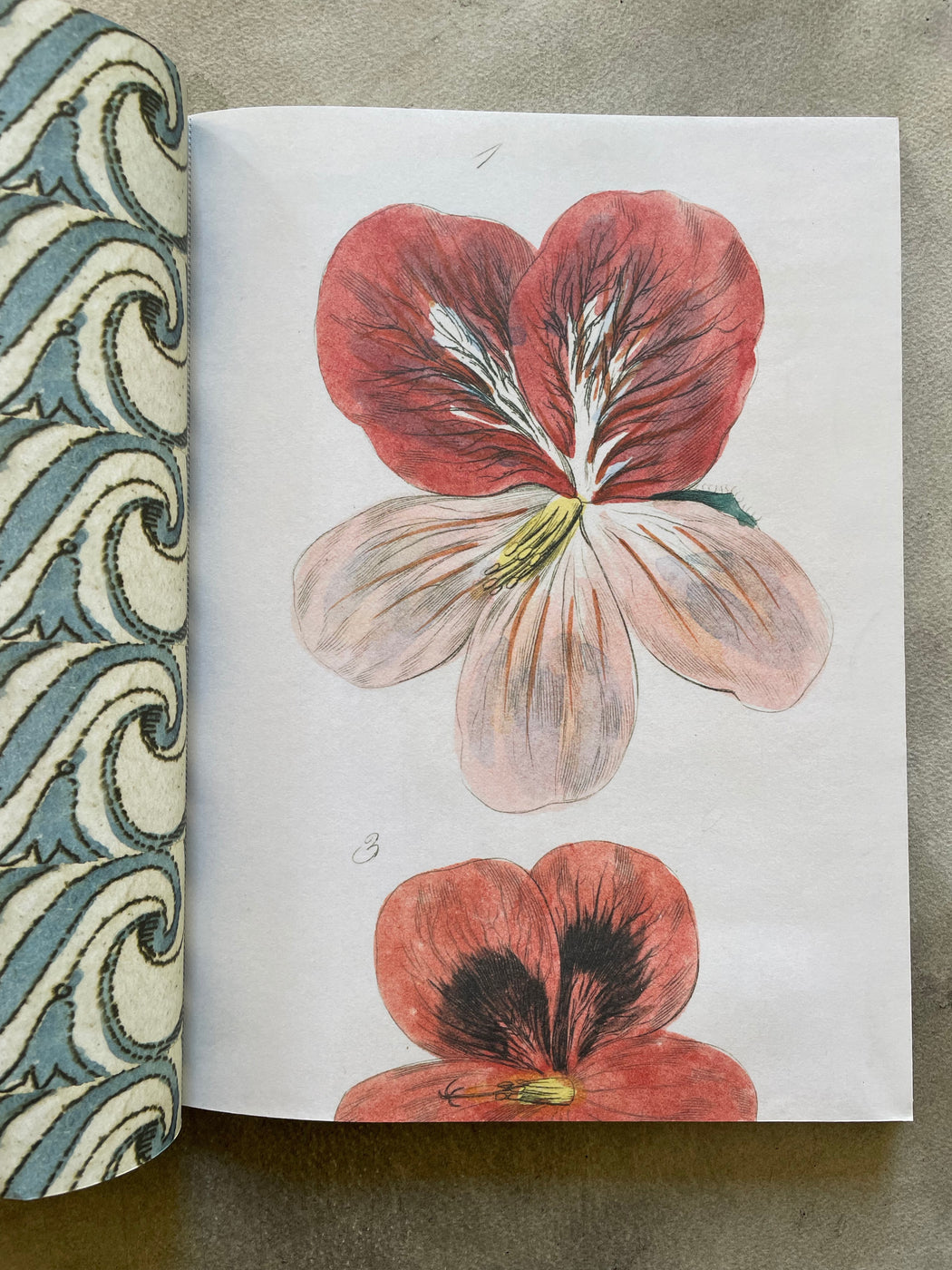 John Derian Wrapping Paper Book