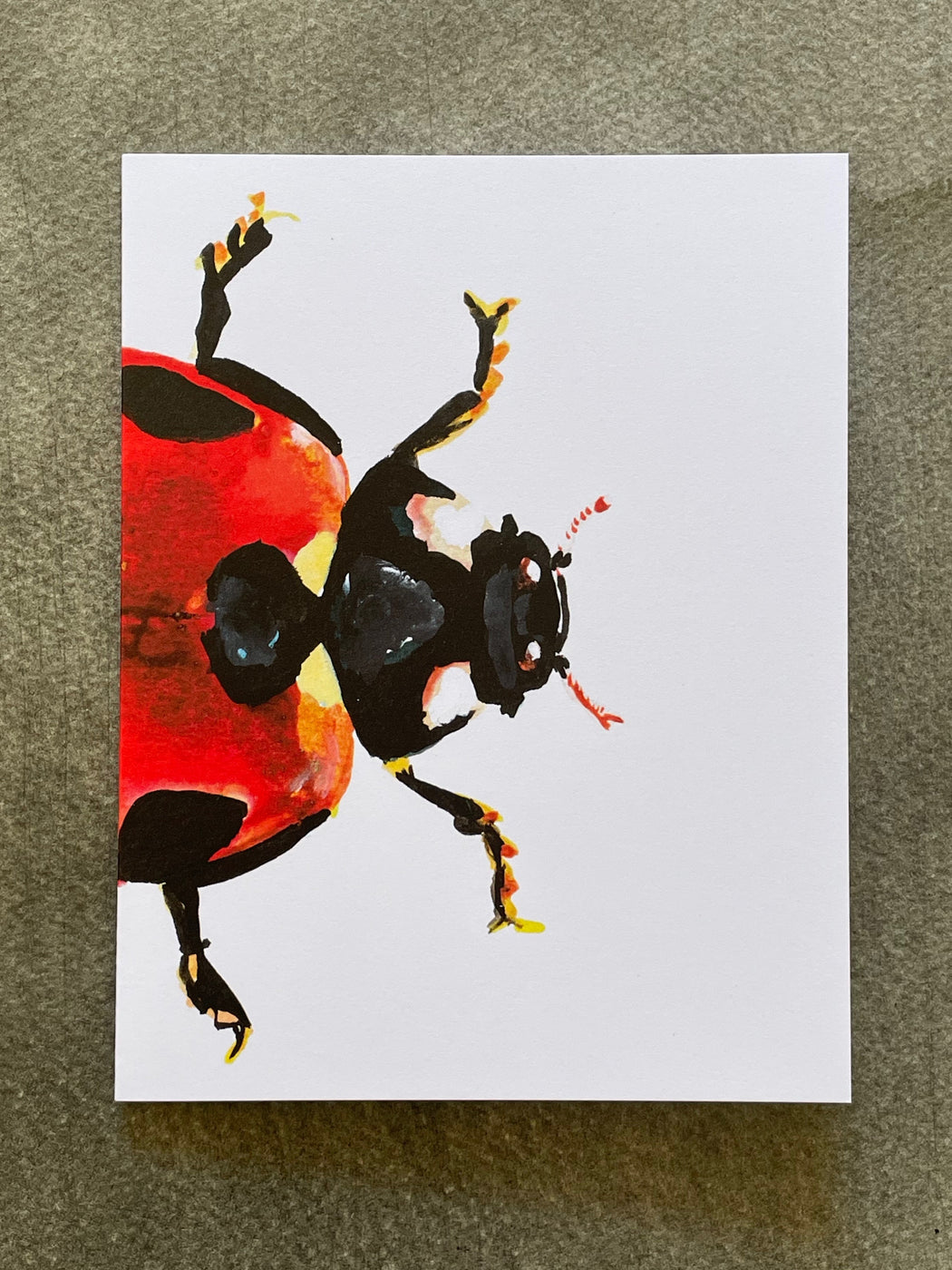 Lady Bug Greeting Card