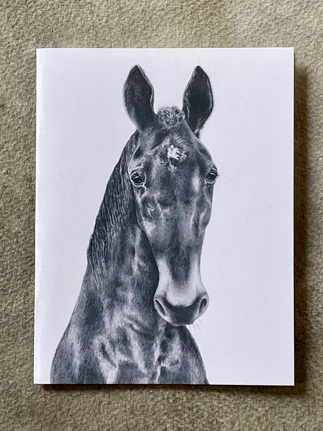 "Miami Clementine Horse" Card