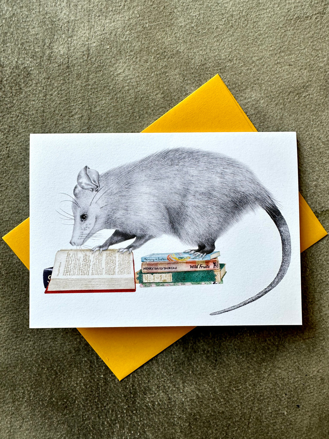 "Henry Gossamer Opossum" Card