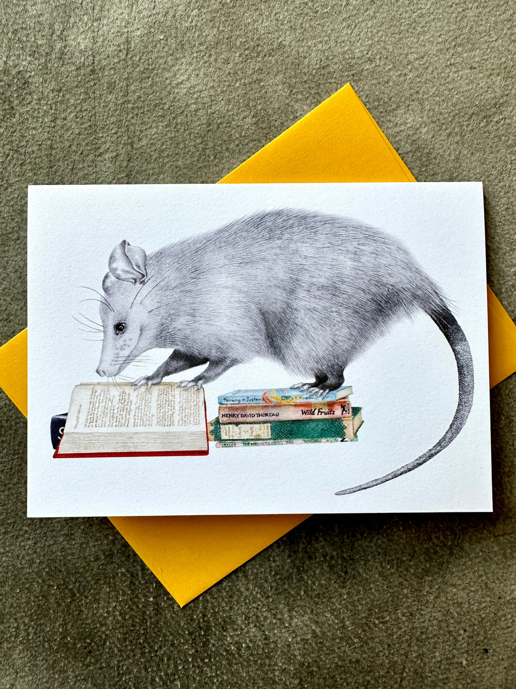 "Henry Gossamer Opossum" Card