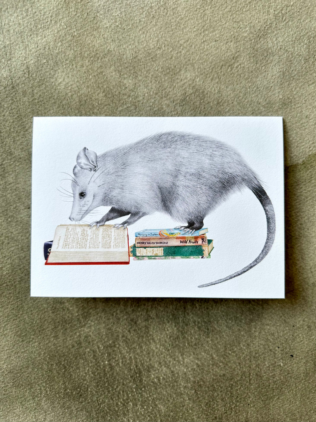"Henry Gossamer Opossum" Card