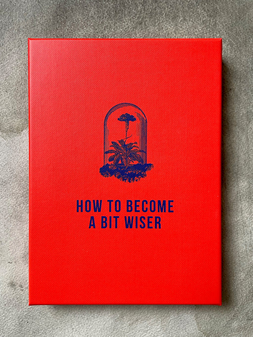 How to Become a Bit Wiser Cards